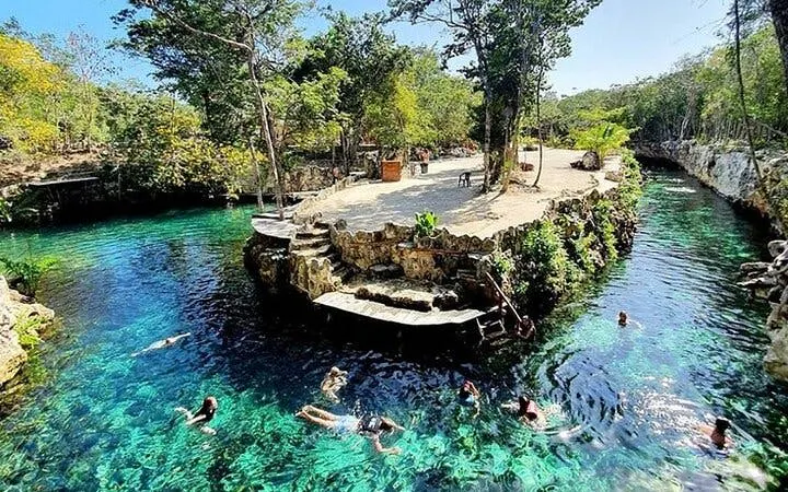 Cenotes Casa Tortuga visitors swimming in clear water surrounded by lush greenery.