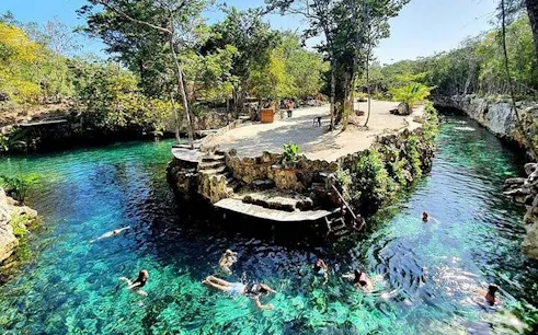 Cenotes Casa Tortuga visitors swimming in clear water surrounded by lush greenery.