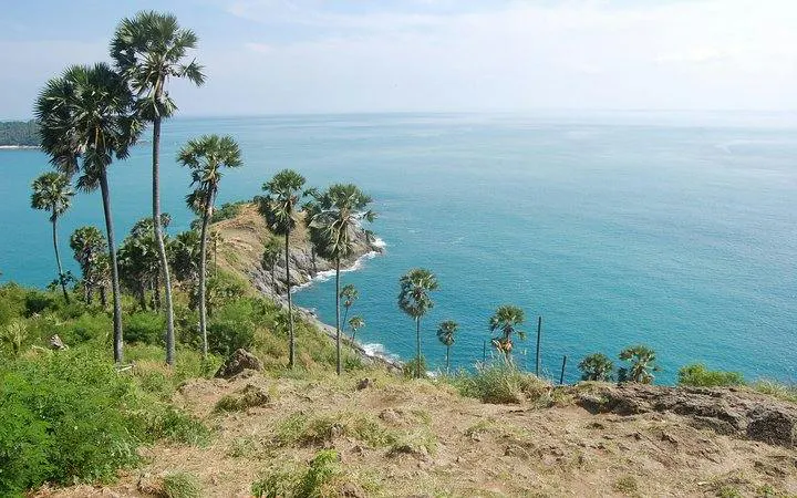 Phuket coastline view with palm trees and ocean, part of the Private Island Highlights tour.