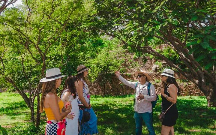 Tour guide explaining Monte Albán history to group in Oaxaca garden setting.