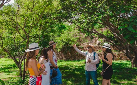 Monte Albán Alebrijes and Black Clay Pottery Workshops Guided Tour