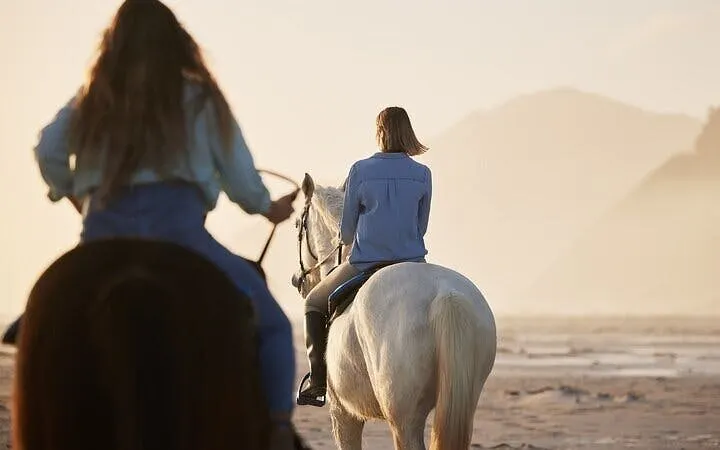 Horseback riding along the beach at sunset in Hurghada, Egypt.
