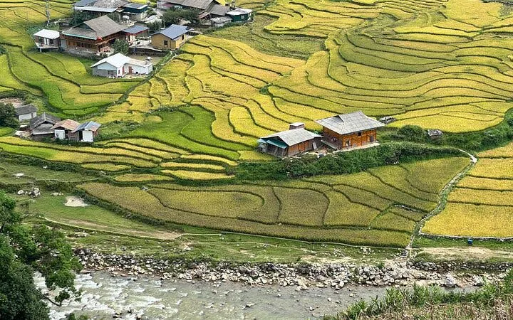 Sapa rice terraces with village homes and river, Vietnam trekking tour.
