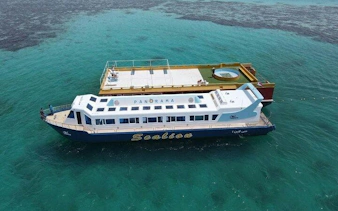 Panorama semi-submarine on clear waters, Hurghada sea trip.