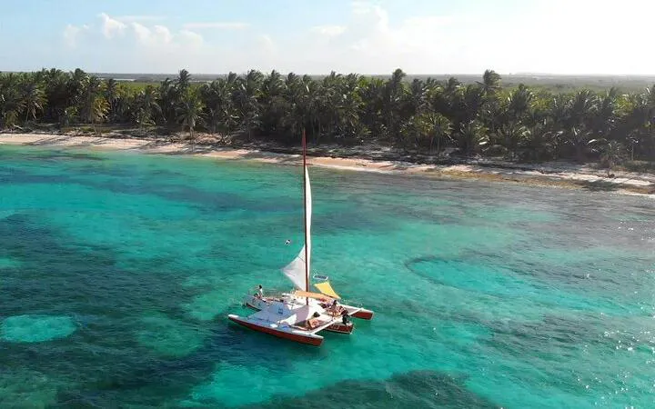 Sailing catamaran on turquoise waters near Punta Cana beach with palm trees.
