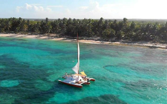Sailing catamaran on turquoise waters near Punta Cana beach with palm trees.