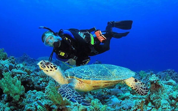 Intro Scuba Diving 2 Stops Trip with Transfers & Lunch - Hurghada