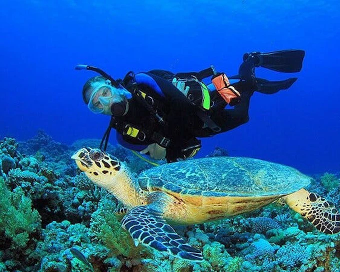 Intro Scuba Diving 2 Stops Trip with Transfers & Lunch - Hurghada