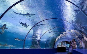 all-inclusive-tour zum alanya aquarium und fun park mit abholung vom hotel-5