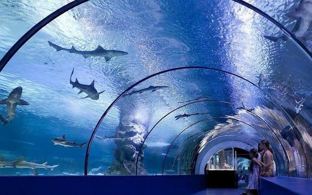 alanya aquarium and fun park tour all inclusive with hotel pickup-5