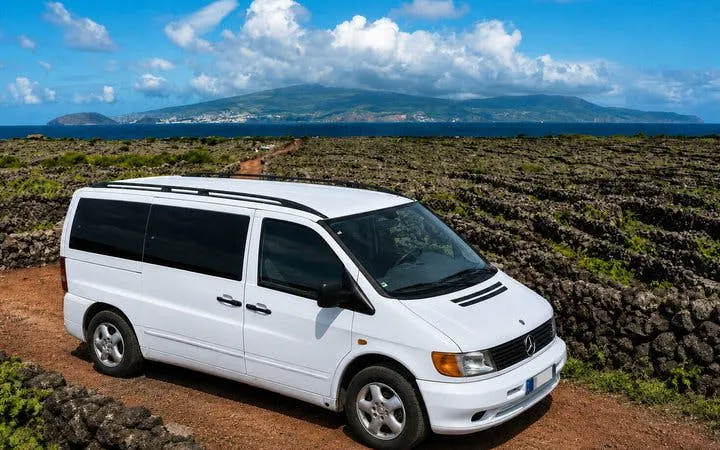 Pico Island Private Welcome Tour with Airport or Ferry Pickup and Scenic Drive Image 4