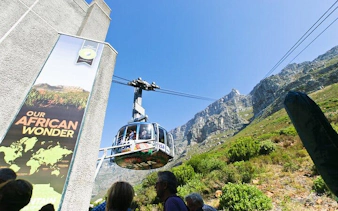 cape town table mountain, boulders beach penguins, and cape point guided group tour with hotel pickup-4