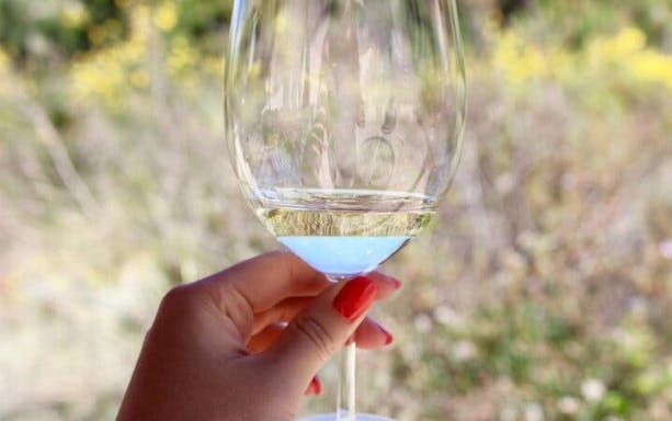 kefalonia wine tour: three wineries visit with up to 18 tastings and local delicacies-2