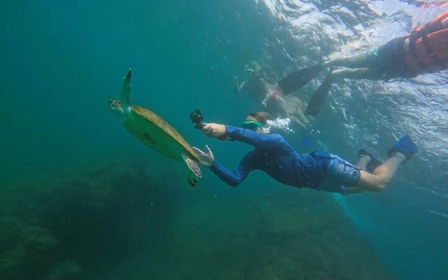 Snorkeling Trip with Turtles in Fujairah Including Hotel Pickup from Dubai and Sightseeing Return