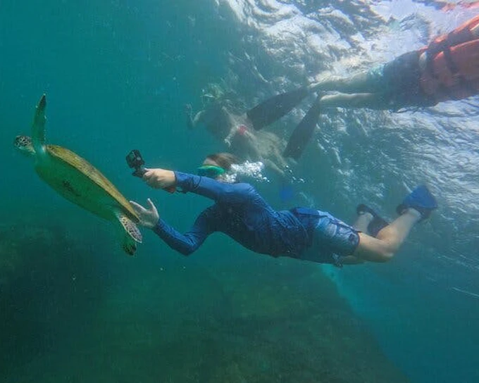 Snorkeling Trip with Turtles in Fujairah Including Hotel Pickup from Dubai and Sightseeing Return (Product 52311)