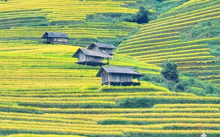 Sapa and Mu Cang Chai Private Guided Tour with Village Visits and Scenic Viewpoints (Product 54178)