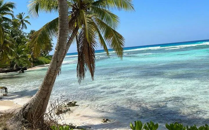 Saona Island beach with palm trees and turquoise water, Punta Cana day trip.