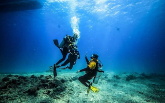 Scuba divers exploring coral reef during guided dive in Sharm El Sheikh.