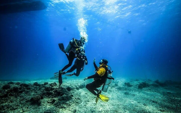 Scuba Diving Day Trip with Two Guided Dives and Lunch in Sharm El Sheikh