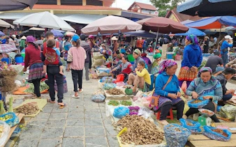 Bac Ha Market vendors selling produce and goods under umbrellas, Sapa motorbike day trip.