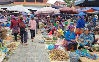Bac Ha Market vendors selling produce and goods under umbrellas, Sapa motorbike day trip.