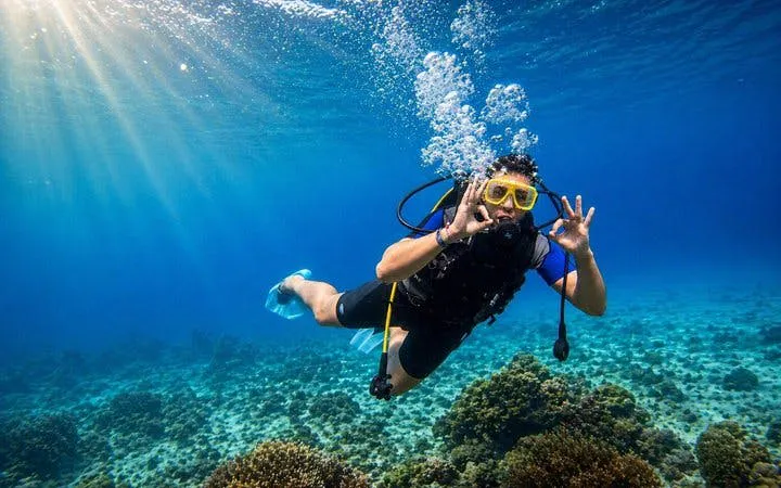 from sharm el sheikh: ras mohamed & white island boat trip with snorkeling and intro dive-8