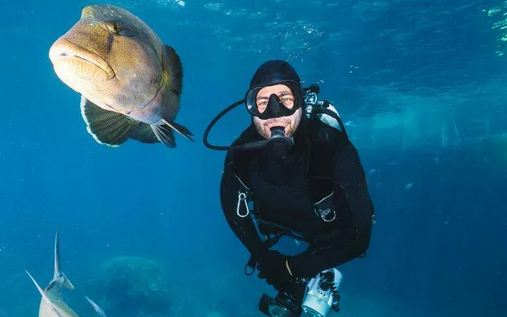 Scuba diver exploring underwater with fish in Sharm El Sheikh.