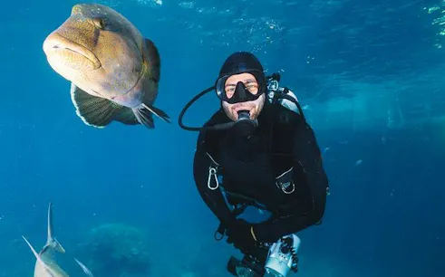 Scuba diver exploring underwater with fish in Sharm El Sheikh.