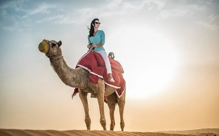 Camel ride at sunset in Palmeraie Grove, Marrakesh.