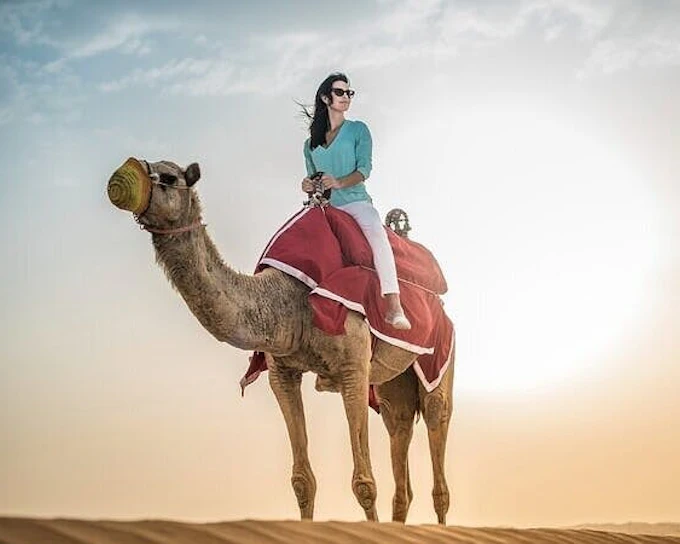 Camel Ride Through the Palmeraie Grove With Transfer - Marrakesh