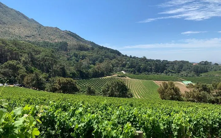 Robben Island, Kirstenbosch Botanical Garden, and South African Wine Tour