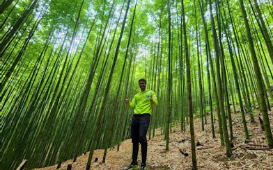 Person standing in a dense bamboo forest during Mu Cang Chai motorbike tour.