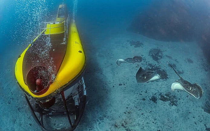 Submarine exploring ocean floor with stingrays in Tenerife.