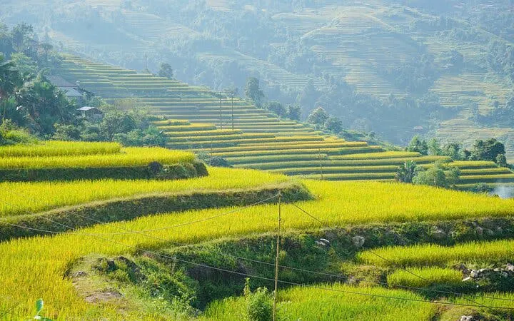 Terraced rice fields in Bac Ha, Vietnam, viewed during a motorbike tour from Sapa.