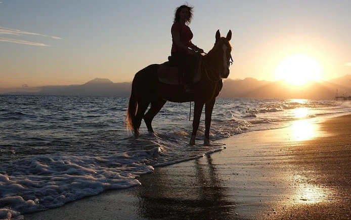 Antalya Horse Riding Experience