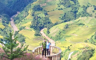 Tourists on a platform overlooking terraced rice fields in Mu Cang Chai, Northern Vietnam.