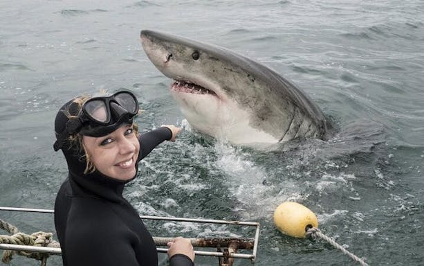 from cape town: gansbaai shark cage diving and stony point penguins day tour-3