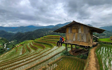Terraced rice fields in Mu Cang Chai with wooden hut and local guides.