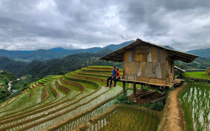 Terraced rice fields in Mu Cang Chai with wooden hut and local guides.
