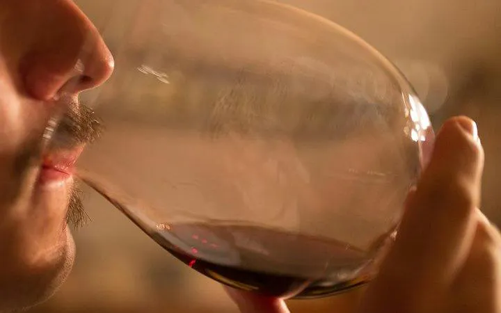 Tasting Barolo wine during Piedmont tour in Alba.