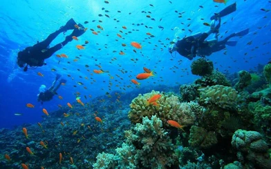 Scuba Diving and Snorkeling Trip in Side