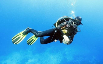 Scuba diver exploring underwater in Sharm El Sheikh.