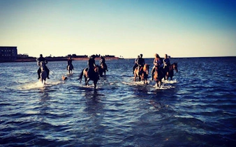 Horseback riders crossing the Red Sea near Hurghada.