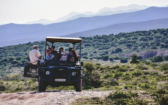 garden route safari and wildlife tour from cape town with oudtshoorn and mossel bay visits-5