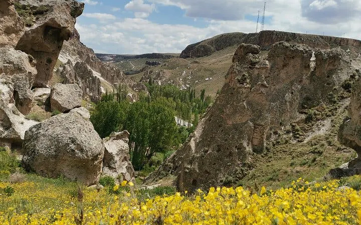 Rocky landscape with yellow flowers and greenery in Cappadocia, Turkey, under a cloudy sky.