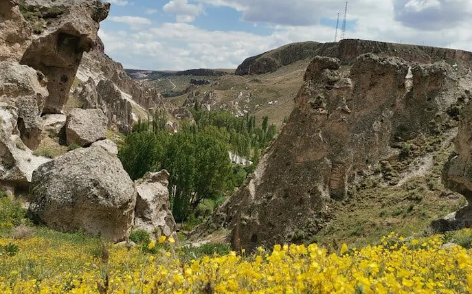 Rocky landscape with yellow flowers and greenery in Cappadocia, Turkey, under a cloudy sky.