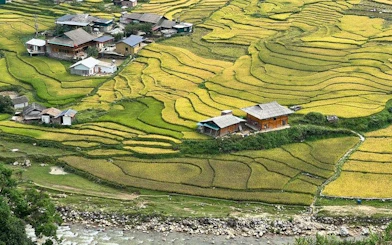 Rice terraces and village houses in Sapa, Vietnam, viewed from above during a guided trek.
