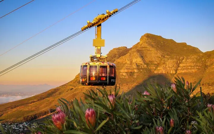 forhåndsbestilte billetter til de 6 største attraksjonene i cape town: robben island, taffelberget, two oceans aquarium, cape wheel, kirstenbosch botaniske hage, groot constantia-8