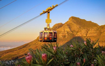 biglietti prenotati in anticipo per le 6 principali attrazioni di città del capo: robben island, table mountain, two oceans aquarium, cape wheel, giardini botanici di kirstenbosch, groot constantia-8