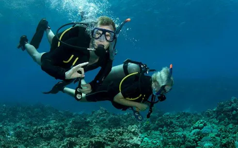 Scuba divers exploring coral reef in Hurghada.